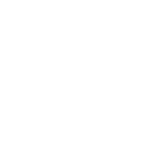 rim icon